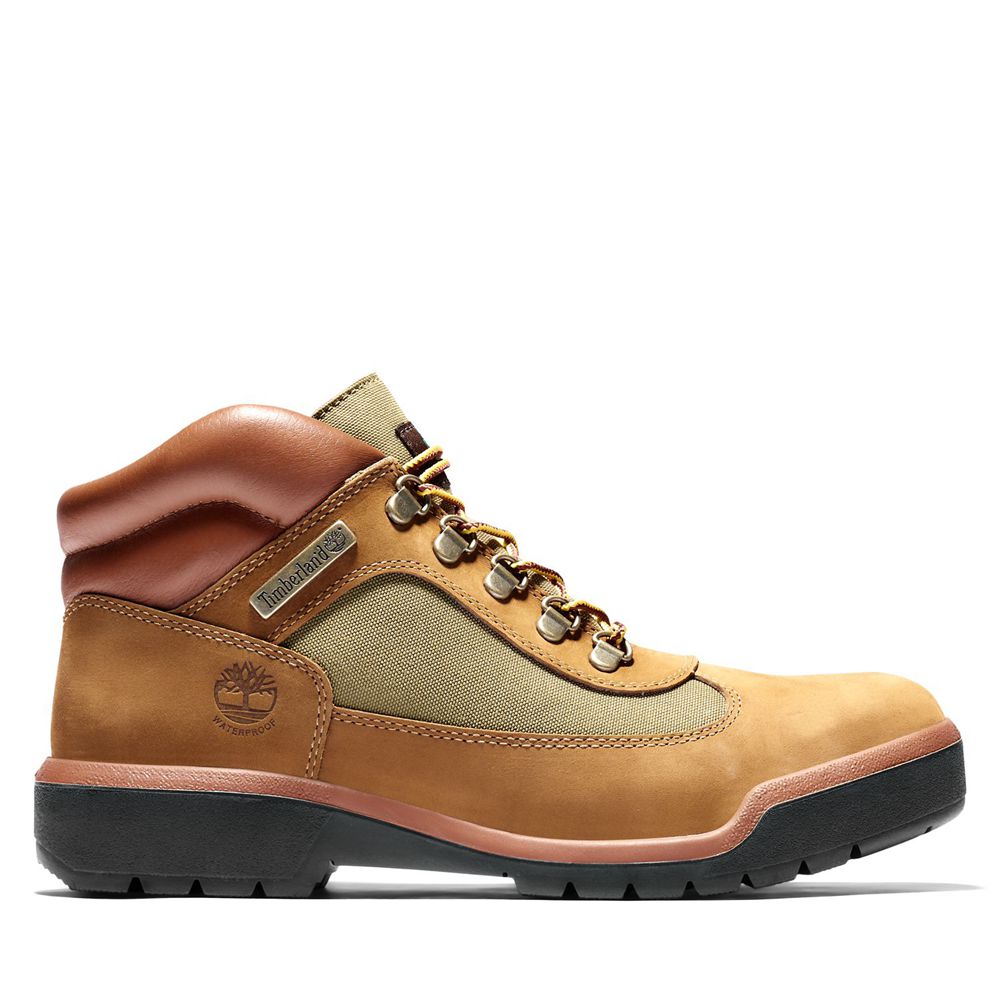 Tenisi Timberland Barbati Maro - Waterproof Field Boots - Romania - QSAWUG132